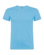 Tricou Beagle