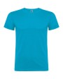 Tricou Beagle