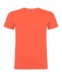 Tricou Beagle